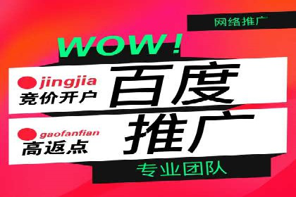案例解析：专业竞价推广代运营团队实操